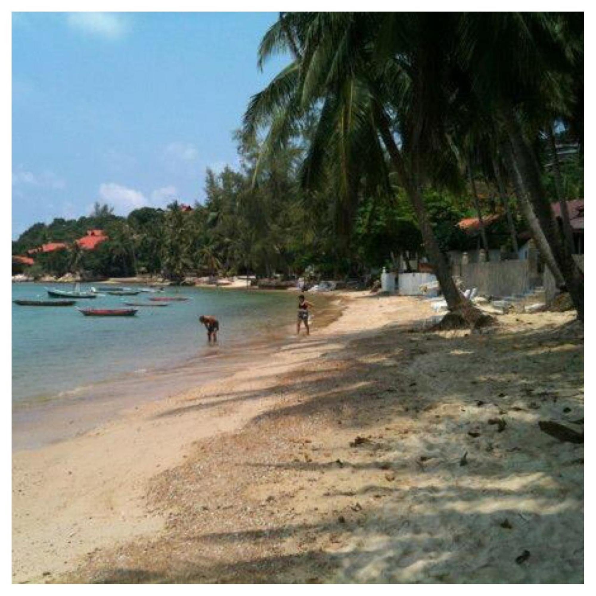 Jungle Hut Bungalows & Hotel Haad Chao Phao Esterno foto