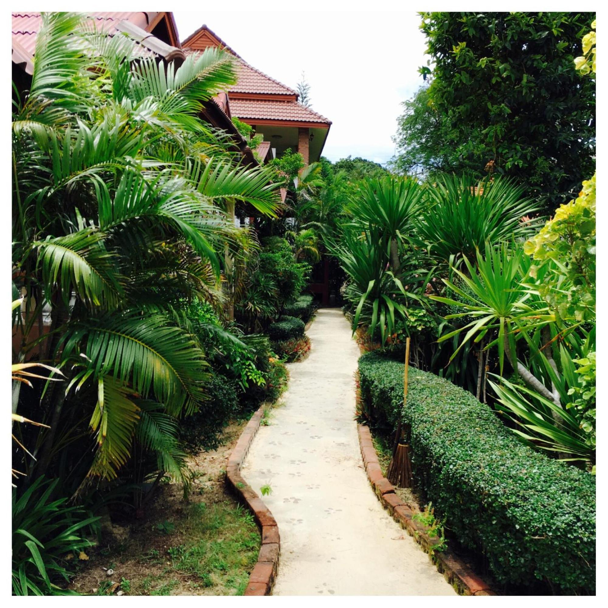 Jungle Hut Bungalows & Hotel Haad Chao Phao Esterno foto